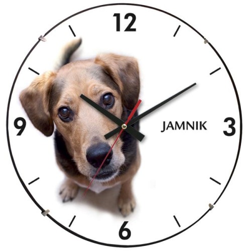 zegar jamnik