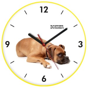 Zegar kolorowy ścienny pies bokser