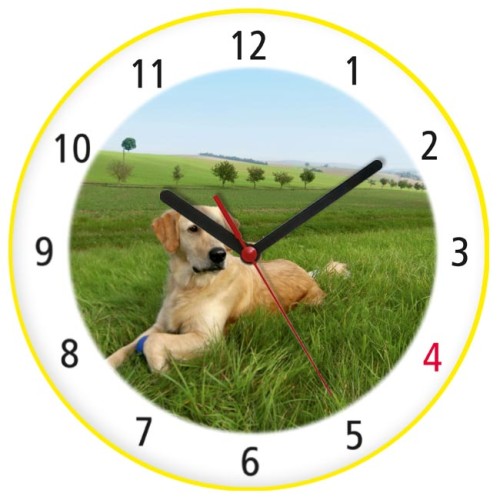 zegar Golden Retriever żółty