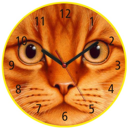 zegar koci pyszczek żółty